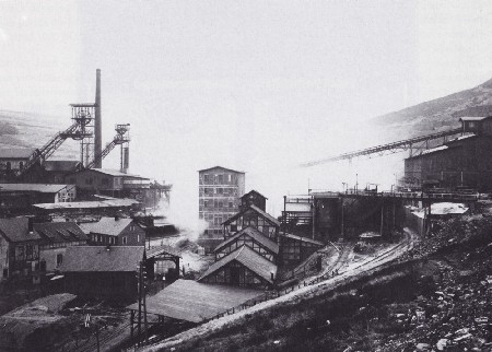 Gosebach_2.450.jpg